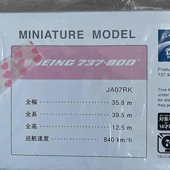安室奈美恵 奈美恵ジェット 新品未使用】JTA 安室奈美恵引退記念のAMURO JET シリアルNO付